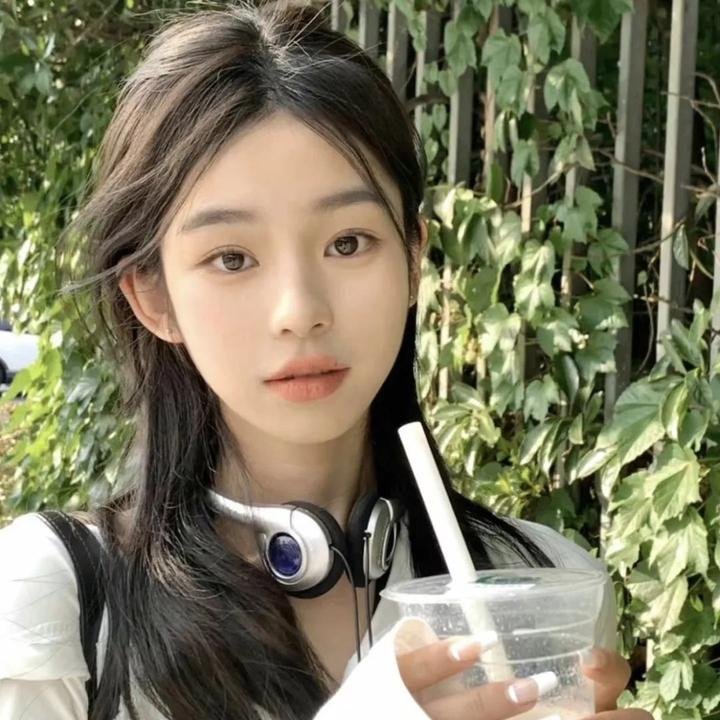 长毛狗